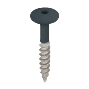 Keralit Torx schroef RVS (100 stuks) - Monumentenblauw (per stuk)