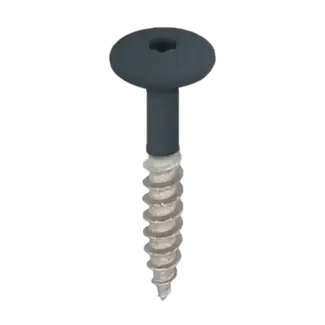 Keralit Torx schroef RVS (100 stuks) - Monumentenblauw