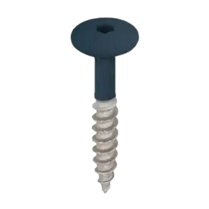 Keralit Torx schroef RVS (100 stuks) - Staalblauw (per stuk)