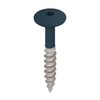 Keralit Torx schroef RVS (100 stuks) - Staalblauw