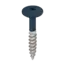 Keralit Torx schroef RVS (100 stuks) - Staalblauw (per stuk)