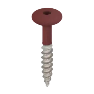 Keralit Torx schroef RVS (100 stuks) - Wijnrood