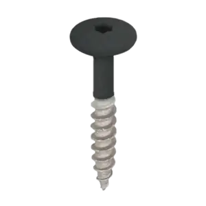 Keralit Torx schroef RVS (100 stuks) - Monumentengroen (per stuk)