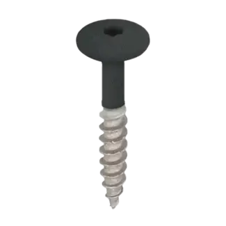 Keralit Torx schroef RVS (100 stuks) - Monumentengroen