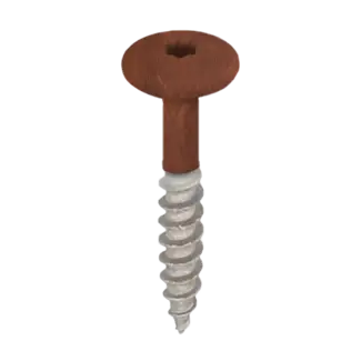 Keralit Torx schroef RVS (100 stuks) - Golden oak