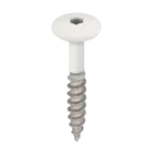 Keralit Torx schroef RVS (100 stuks) - Wit