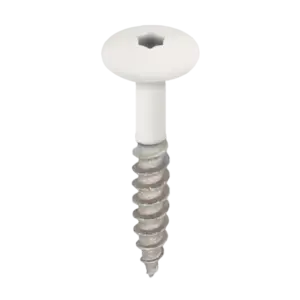 Keralit Torx schroef RVS (100 stuks) - Wit (per stuk)