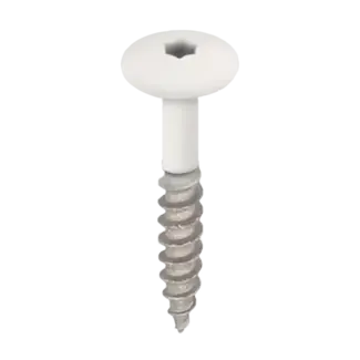 Keralit Torx schroef RVS (100 stuks) - Wit