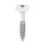 Keralit Torx schroef RVS (100 stuks) - Wit (per stuk)