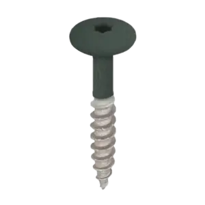 Keralit Torx schroef RVS (100 stuks) - Donkergroen (per stuk)