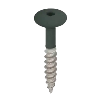 Keralit Torx schroef RVS (100 stuks) - Donkergroen