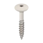 Keralit Torx schroef RVS (100 stuks) - Crème