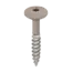 Keralit Torx schroef RVS (100 stuks) - Vergrijsd ceder (per stuk)
