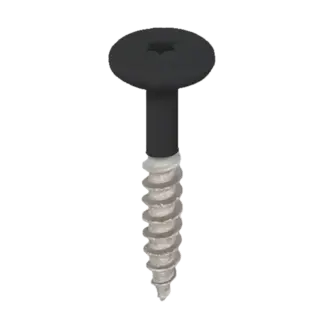 Keralit Torx schroef RVS (100 stuks) - Grafietzwart
