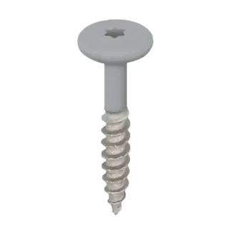 Keralit Torx schroef RVS (100 stuks) - Grijs