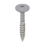 Keralit Torx schroef RVS (100 stuks) - Grijs (per stuk)