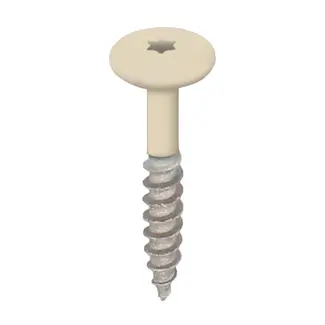 Keralit Torx schroef RVS (100 stuks) - Licht ivoor