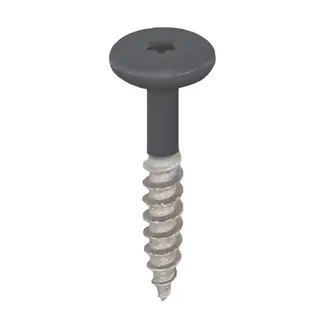 Keralit Torx schroef RVS (100 stuks) - Antraciet