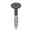 Keralit Torx schroef RVS (100 stuks) - Antraciet