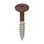 Torx schroef RVS (100 stuks) - Mahonie (per stuk)