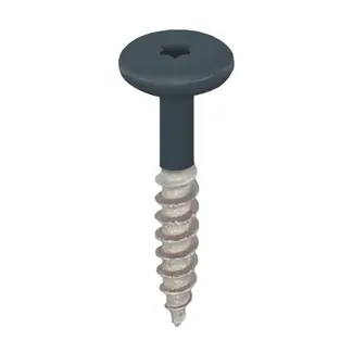 Keralit Torx schroef RVS (100 stuks) - Monumentenblauw