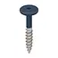 Keralit Torx schroef RVS (100 stuks) - Staalblauw