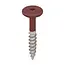 Keralit Torx schroef RVS (100 stuks) - Wijnrood