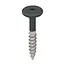 Keralit Torx schroef RVS (100 stuks) - Monumentengroen
