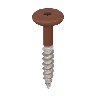 Keralit Torx schroef RVS (100 stuks) - Golden oak