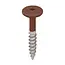 Keralit Torx schroef RVS (100 stuks) - Golden oak (per stuk)