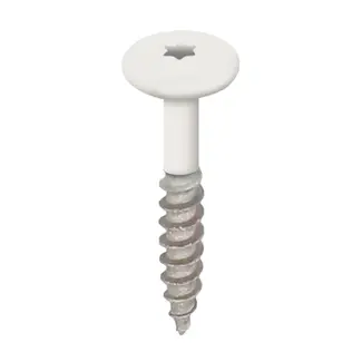 Keralit Torx schroef RVS (100 stuks) - Wit