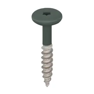 Keralit Torx schroef RVS (100 stuks) - Donkergroen
