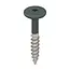 Keralit Torx schroef RVS (100 stuks) - Donkergroen
