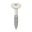 Keralit Torx schroef RVS (100 stuks) - Crème