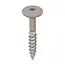 Keralit Torx schroef RVS (100 stuks) - Vergrijsd ceder