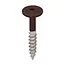 Torx schroef RVS (100 stuks) - Bruin eiken