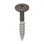 Torx schroef RVS (100 stuks) - Bruingrijs