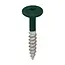 Torx schroef RVS (100 stuks) - Mosgroen