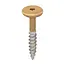 Torx schroef RVS (100 stuks) - Licht eiken