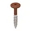 Torx schroef RVS (100 stuks) - Steenrood