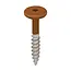 Torx schroef RVS (100 stuks) - Californian redwood