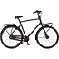 Cortina  Common ND7 Herenfiets RB Jet Black Matt