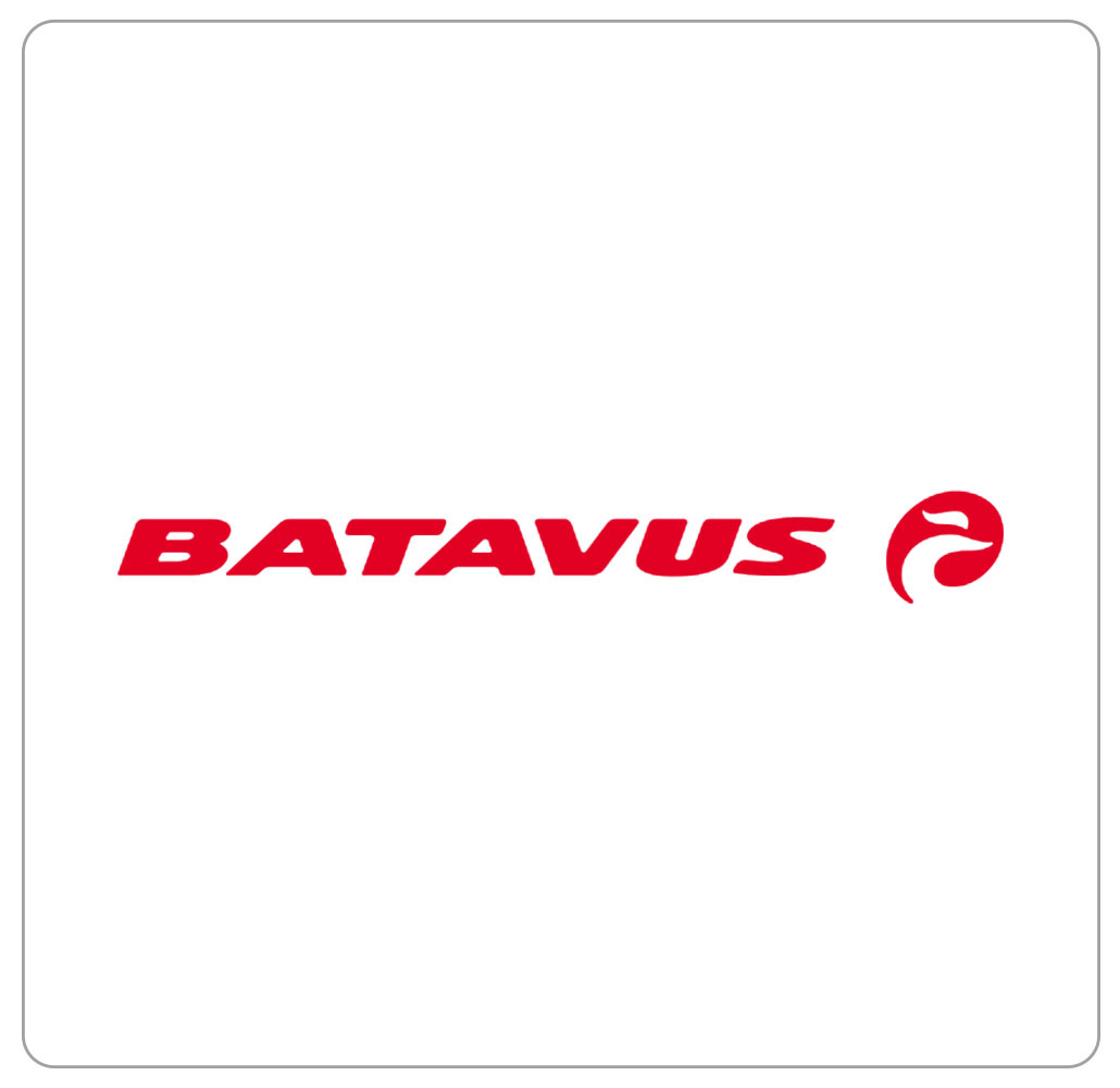 Batavus