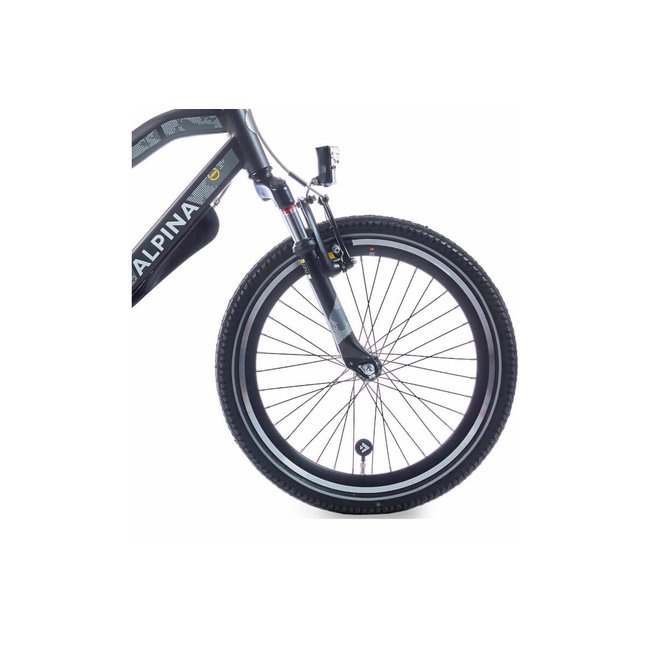 Alpina Kinderfietsen Trial Space Mat Zwart 20 inch Jongensfiets
