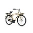 Batavus  PACKD E-go Plus e-Motion Elektrische Herenfiets 7V Mat Camel