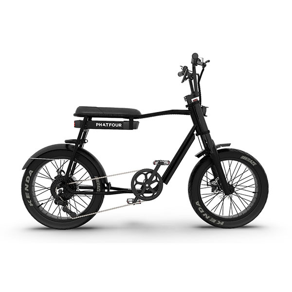 Elektrische Fatbike