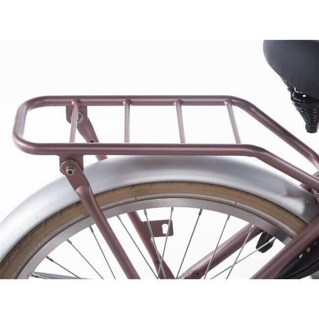 Alpina Kinderfietsen Cargo Wood Rose Matt 20 inch Meisjes Transportfiets