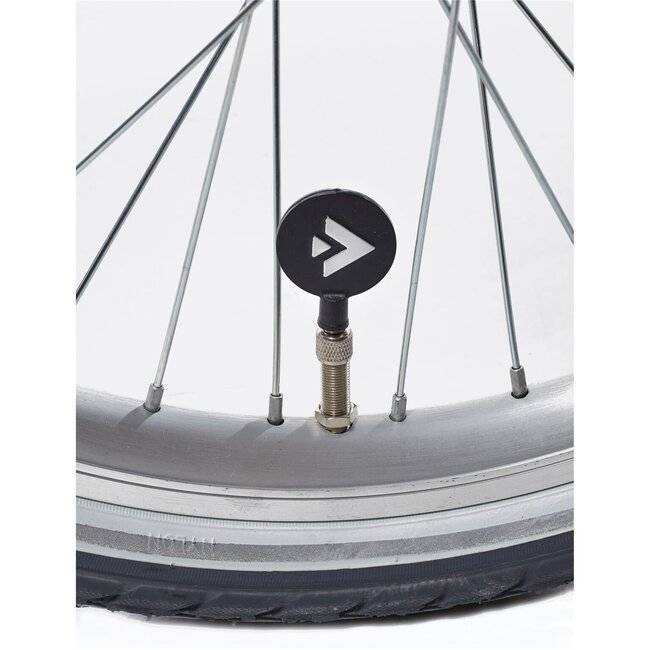 Alpina Kinderfietsen Clubb Satin Blue Matt Meisjesfiets 22 inch