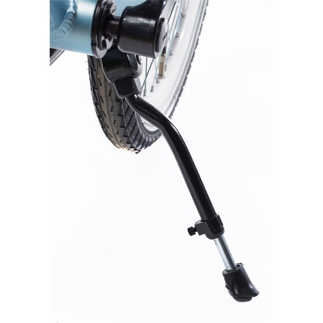 Alpina Kinderfietsen Ocean Dusk Blue Matt Meisjesfiets 20 inch