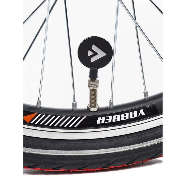 Alpina Kinderfietsen Yabber Jongensfiets 20 inch Blue Matt